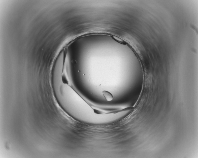 X0000098151342200805081034