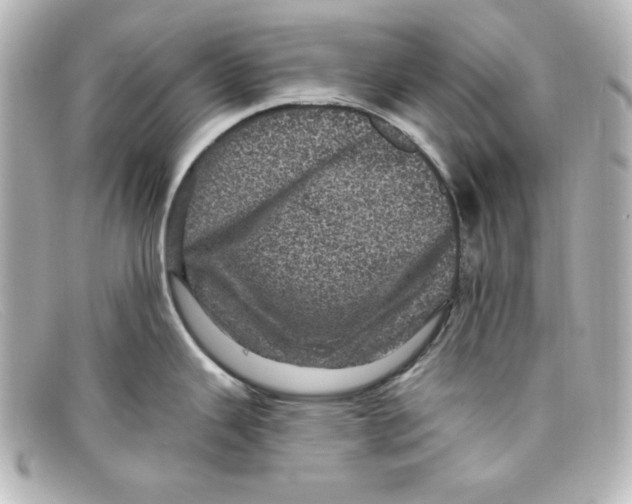 X0000098151343200805081034