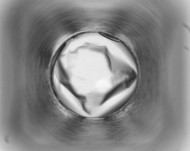 X0000098151344200805081034