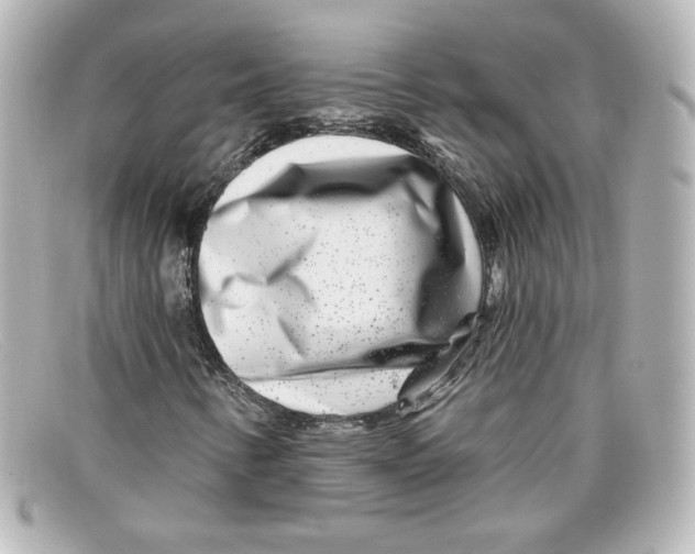 X0000098151346200805081033