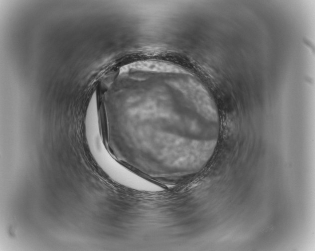 X0000098151349200805081033