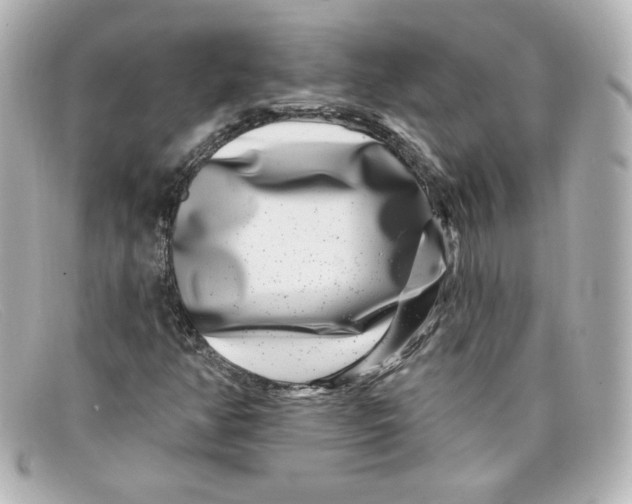X0000098151350200805081033