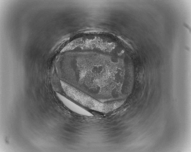X0000098151351200805081033