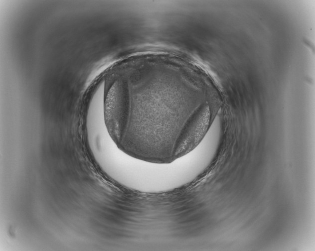 X0000098151352200805081033