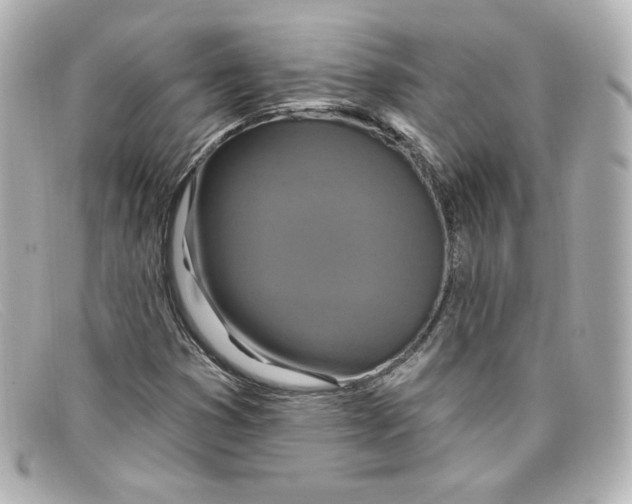 X0000098151353200805081033