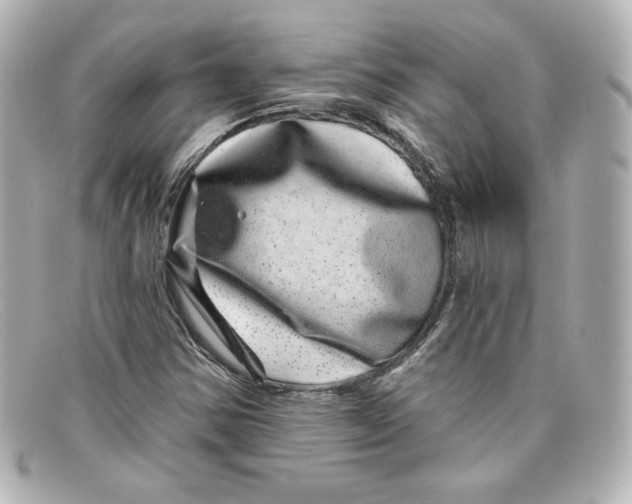 X0000098151354200805081033