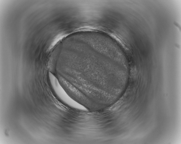 X0000098151355200805081033
