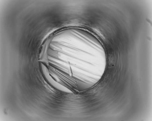 X0000098151356200805081033