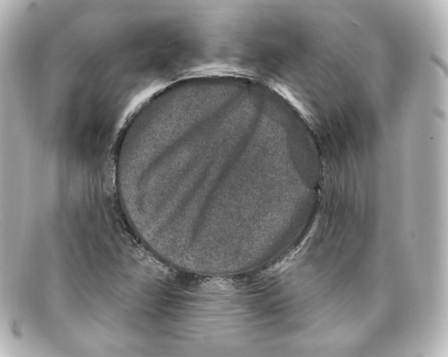 X0000098151358200805081033