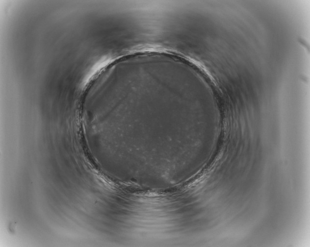 X0000098151359200805081033