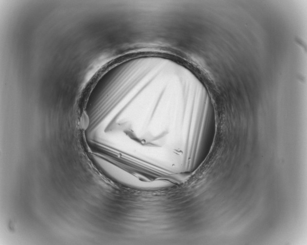 X0000098151360200805081033