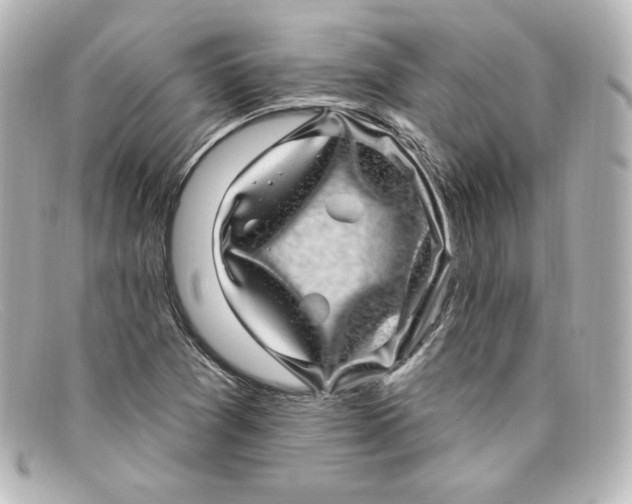 X0000098151361200805081033