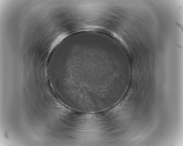 X0000098151362200805081033