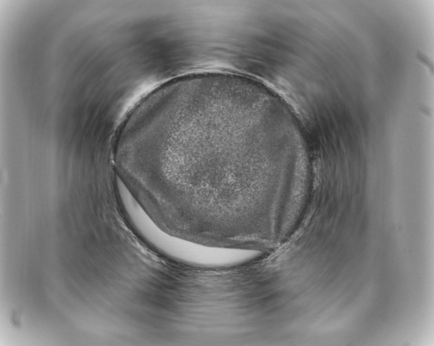 X0000098151363200805081033