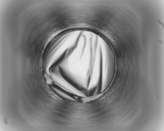 X0000098151364200805081033