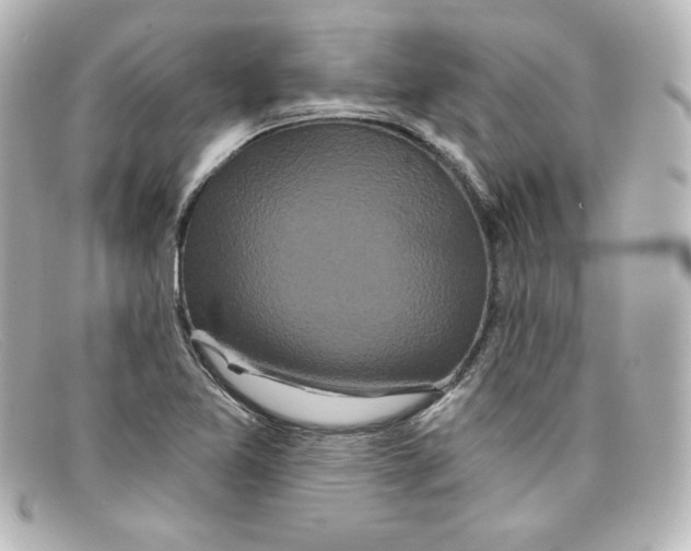 X0000098151365200805081033
