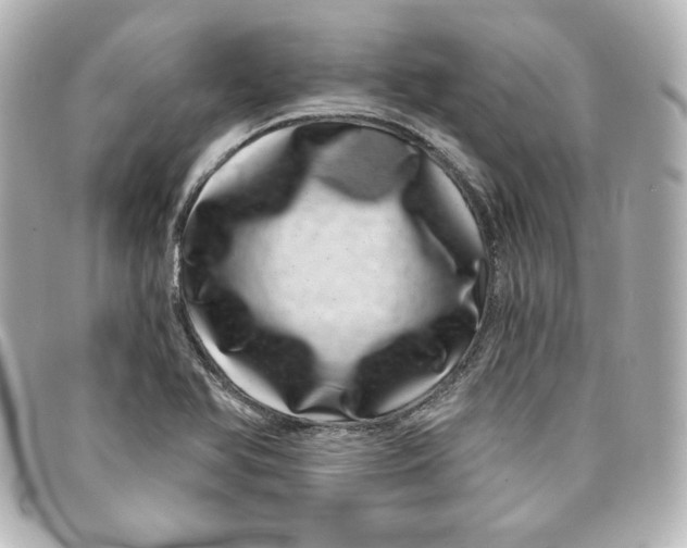 X0000098151366200805081033