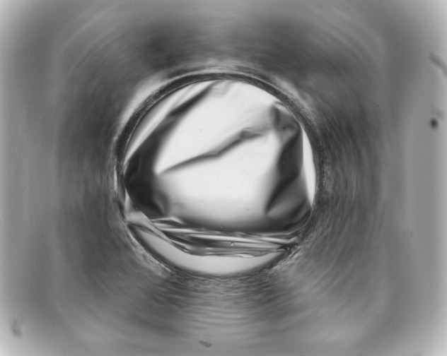 X0000098151368200805081033