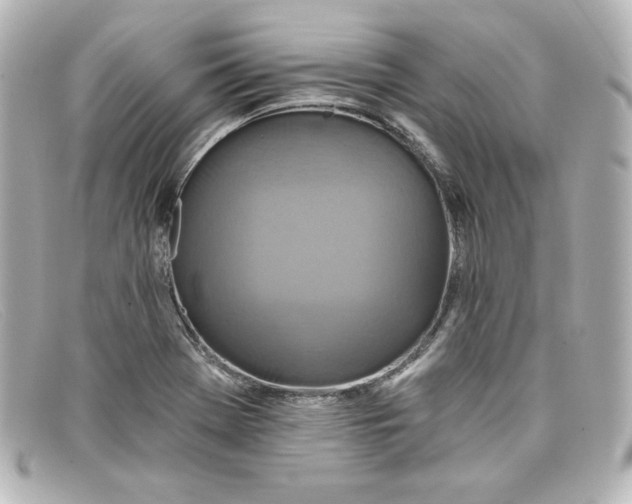 X0000098151369200805081033