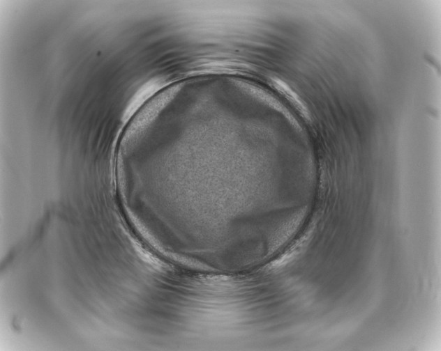 X0000098151370200805081033