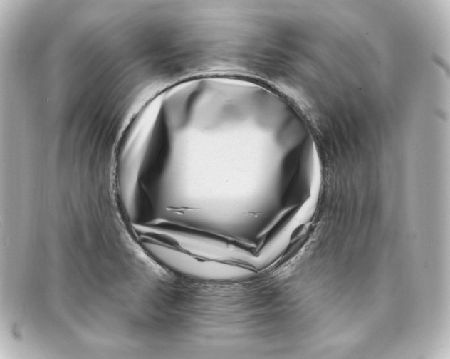 X0000098151374200805081032