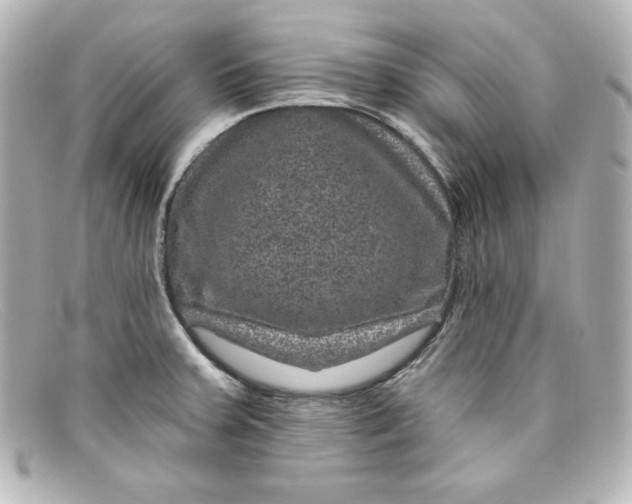 X0000098151379200805081032