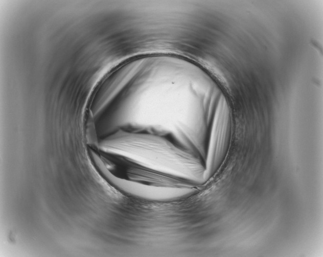 X0000098151380200805081032