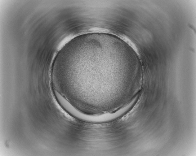 X0000098151381200805081032