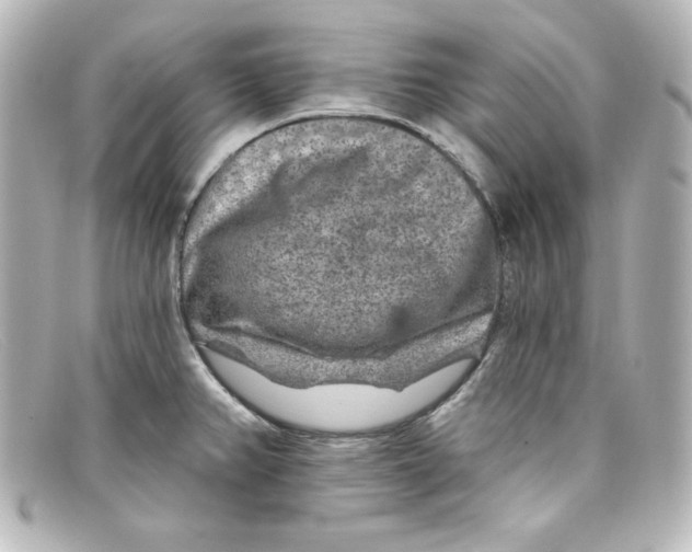 X0000098151382200805081032