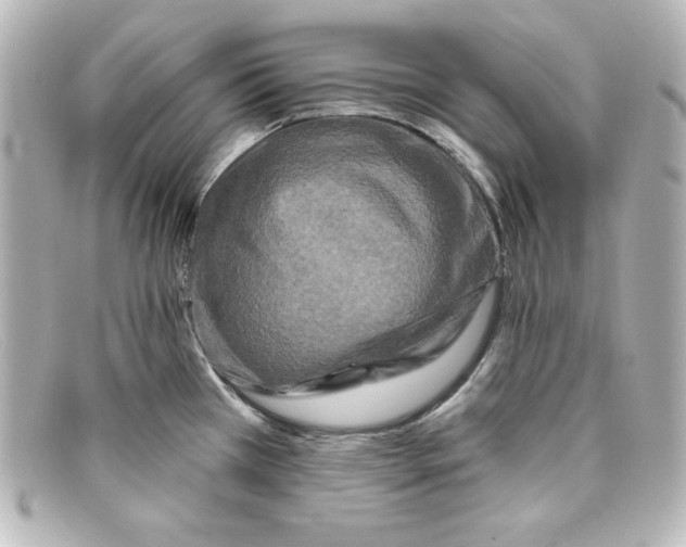 X0000098151385200805081032