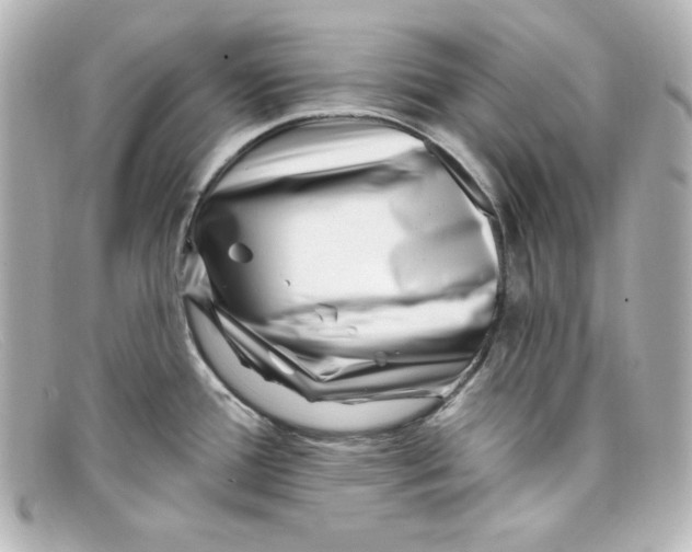 X0000098151388200805081032