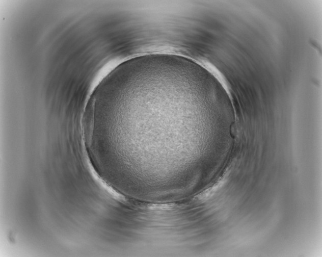 X0000098151389200805081032
