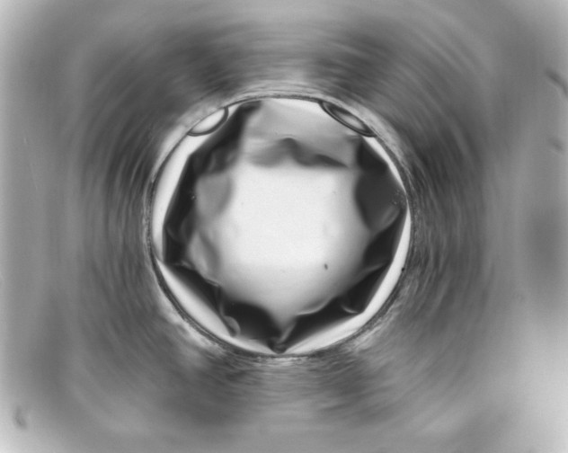 X0000098151390200805081032
