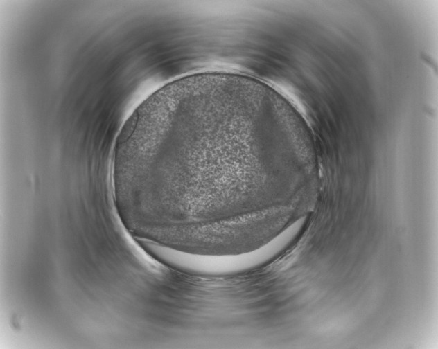 X0000098151391200805081032