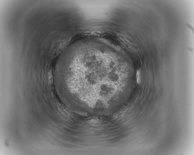 X0000098151395200805081032