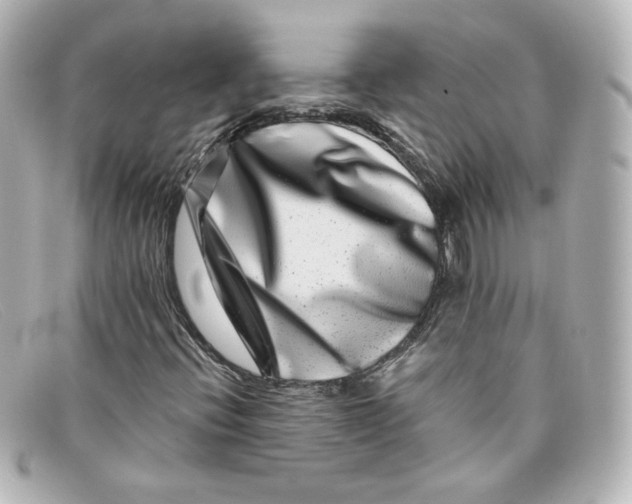 X0000098151396200805081032