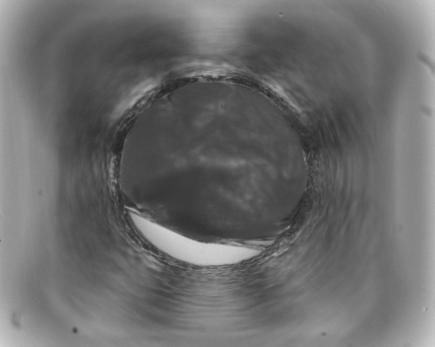 X0000098151399200805081032