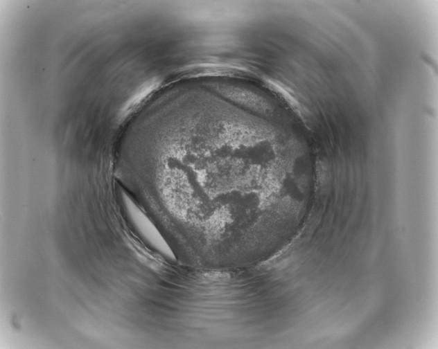 X0000098151403200805081032