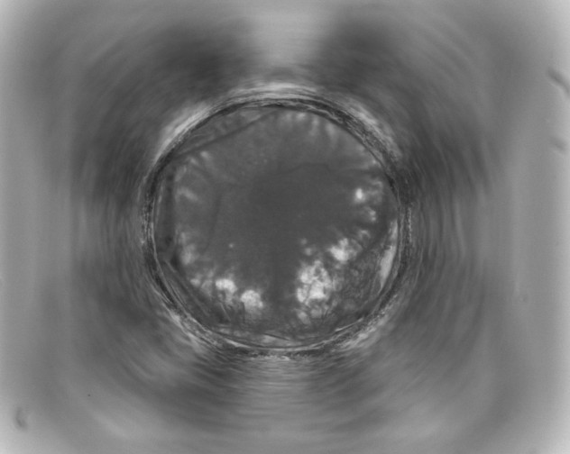 X0000098151405200805081032