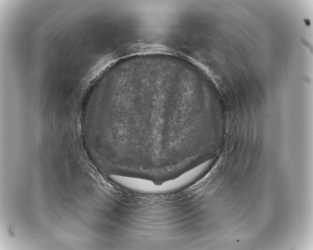 X0000098151407200805081032