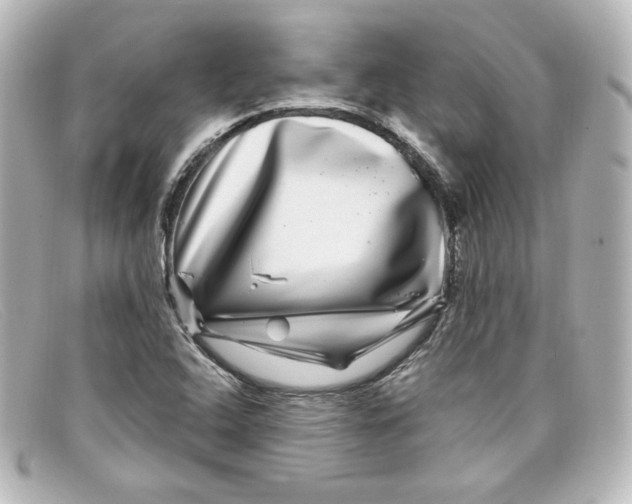X0000098151408200805081032