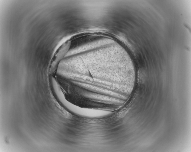 X0000098151412200805081032