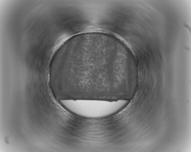 X0000098151415200805081032
