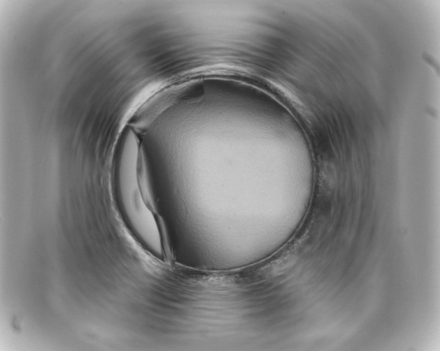 X0000098151418200805081032