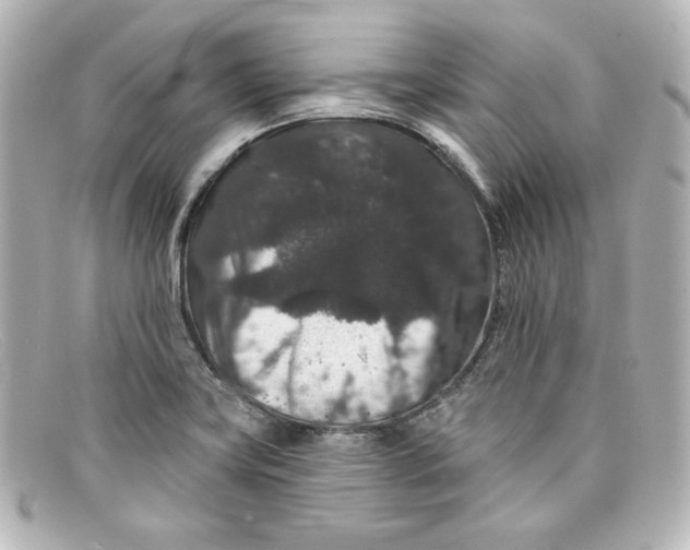 X0000098151419200805081032