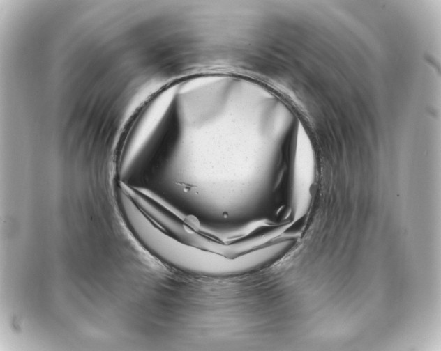 X0000098151424200805081032