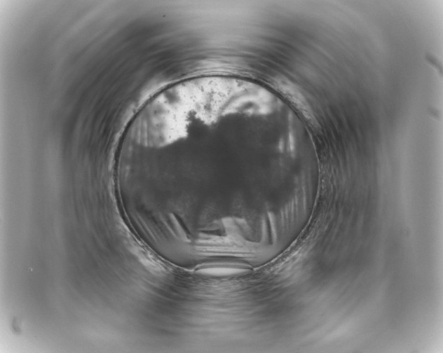 X0000098151427200805081032