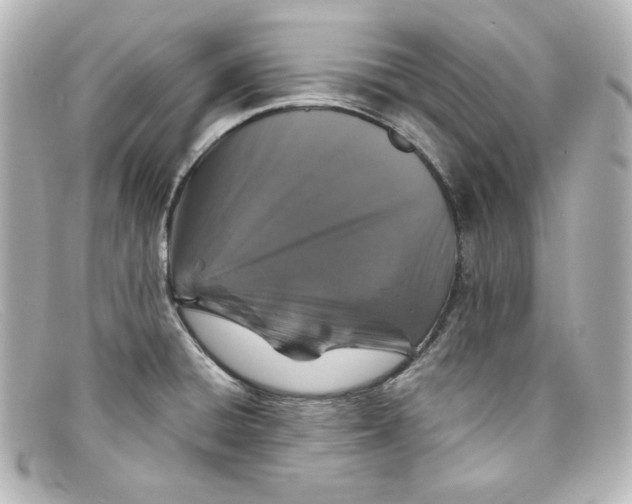 X0000098151428200805081032