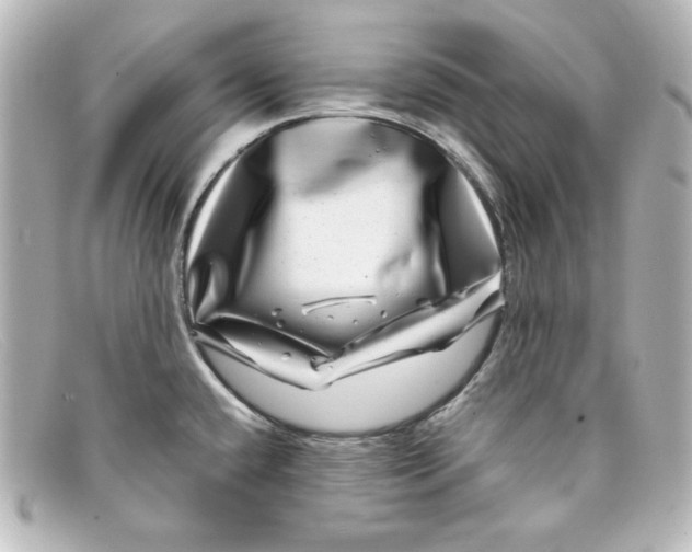 X0000098151432200805081032