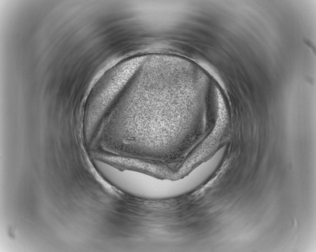 X0000098151437200805081032